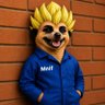 Profilbild von Mnif