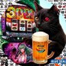 Фото профиля くろ🐈⬛🍺☺︎