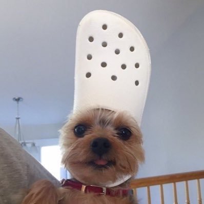 3di3di_'s profile picture