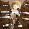 Blessed profil fotoğrafı
