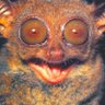 Profilbild von ZungaBunga