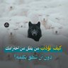 العامري 的头像