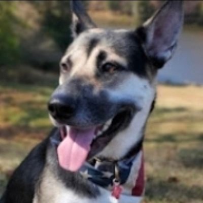 FlagAndFire's profile picture