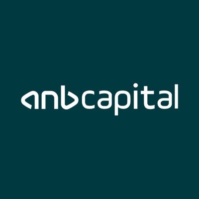 anb capital's profile picture