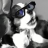 Profilbild von Carey Findley