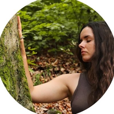 JeanneTrad's profile picture