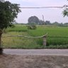 Profilbild von Pink_Fong_Yadav