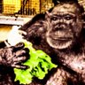 Vivian's profile picture