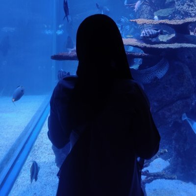 lanmoonnnn's profile picture