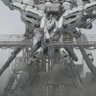 にんじんシリシリ 的头像