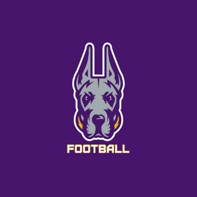 UAlbanyFootball's profile picture