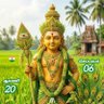 Thiruchendur murugan 🙏🏿🦚 🙇🏿♂️Arogara 的头像