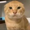 永恒之心 profil fotoğrafı