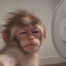 Profilbild von The Haze