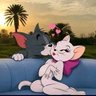 𝐀𝐡𝐦𝐞𝐝's profile picture