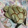 よる's profile picture