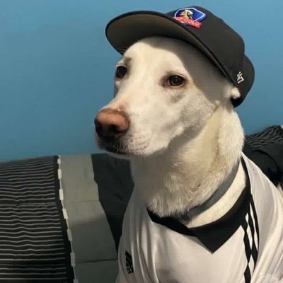Na Cho Ne Ta ✪'s profile picture