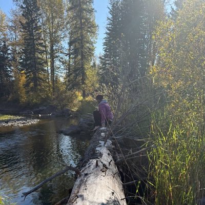 KelliDPowers's profile picture