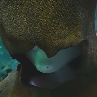 Nobody👁️‍🗨️'s profile picture
