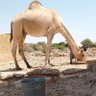 كنده التاريخ والتاريخ كنده 的头像