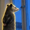 Profilbild von lilfund