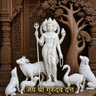 Profilbild von मी करामती मोरचूद काका...(मोदिजींच्या परिवारातून)