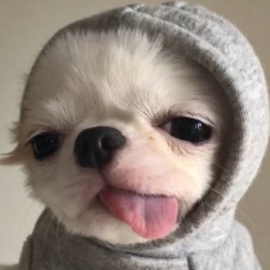 youngmo131's profile picture
