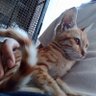 JuxTorp profil fotoğrafı