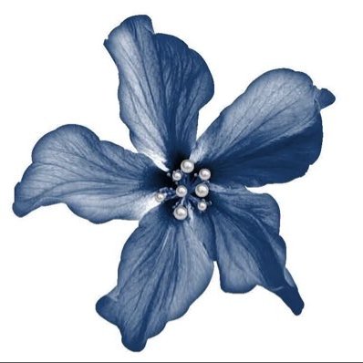 سمو 🦋's profile picture