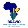 Bravio Data Analysis & Statistics profil fotoğrafı