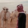 ﻏ̲ياهيب 📿 的头像