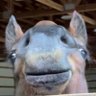 J ☻'s profile picture
