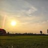 I am Ndungu🇰🇪 的头像