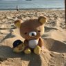 玉玉's profile picture