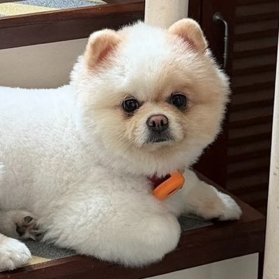 Chubby •福• หลิงออมอิมแพค SOLD OUT 2 รอบ's profile picture