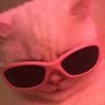 Alexndr's profile picture