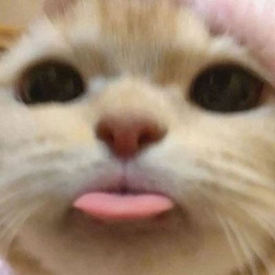 ปุ๊กกี้คุกกี้ของนูนู่🐈💖's profile picture