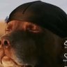 JR profil fotoğrafı