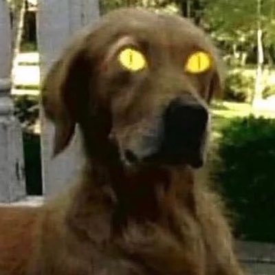 gagaoutai's profile picture