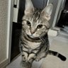 Фото профиля まうまう