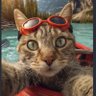 The Bartender's profile picture