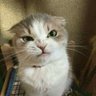 Profilbild von Alain