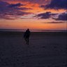 Spencer W. M.D's profile picture