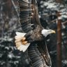 Фото профиля Abo_Yazan