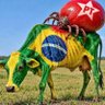 Фото профиля Lina Paula 🇧🇷