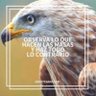 Jesus albeiro Arias ocampo profil fotoğrafı