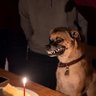 ꙰ profil fotoğrafı