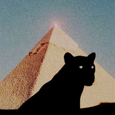 🕊️🇵🇸😫💤🇪🇬's profile picture