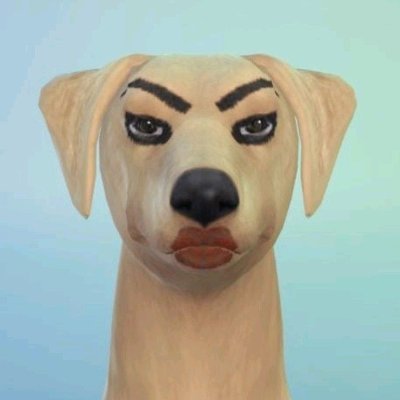 tretorio's profile picture