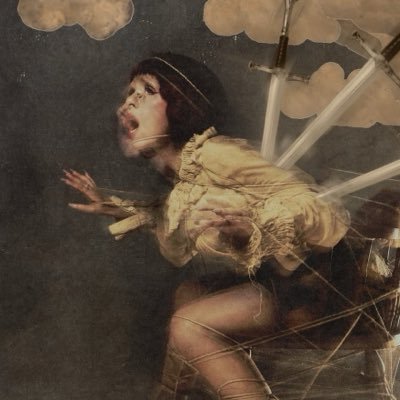 melsgutter's profile picture